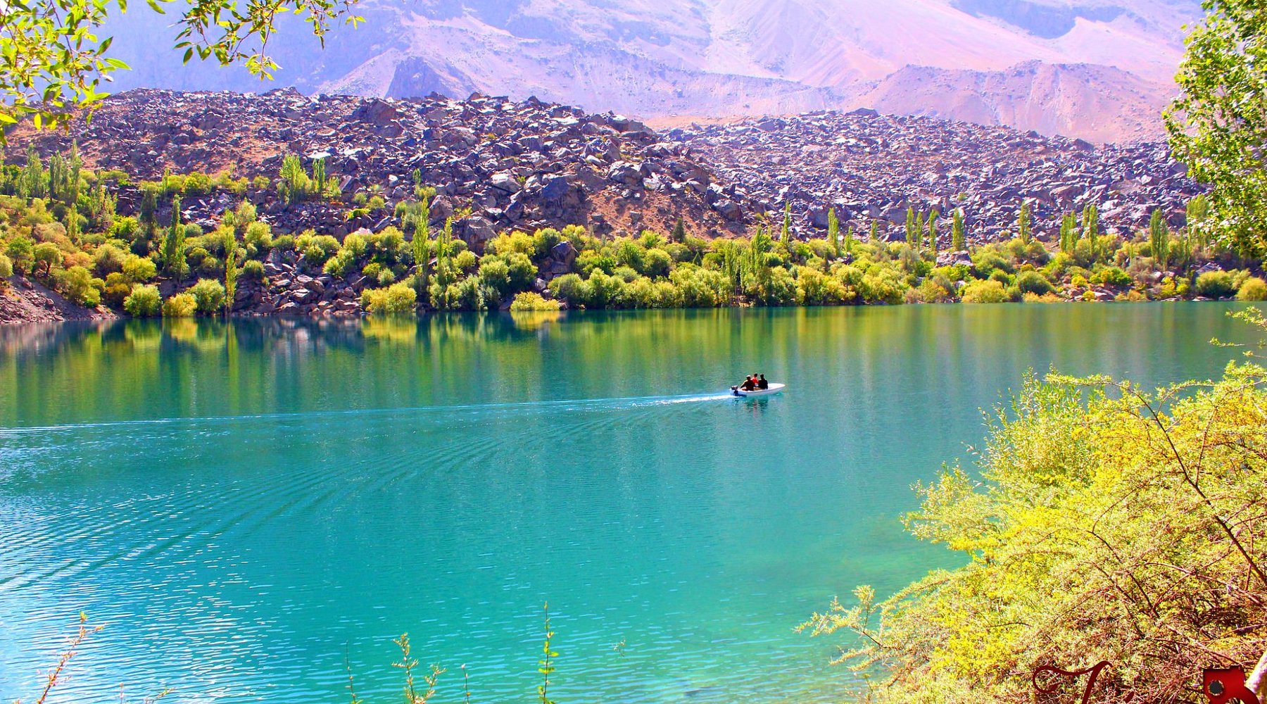 Sakura Blossom in Hunza & Nagar